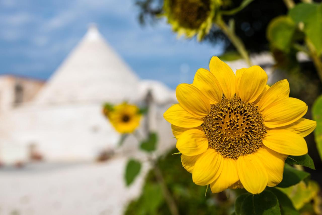Masseria Mezza Ruota Alberobello Eksteriør bilde